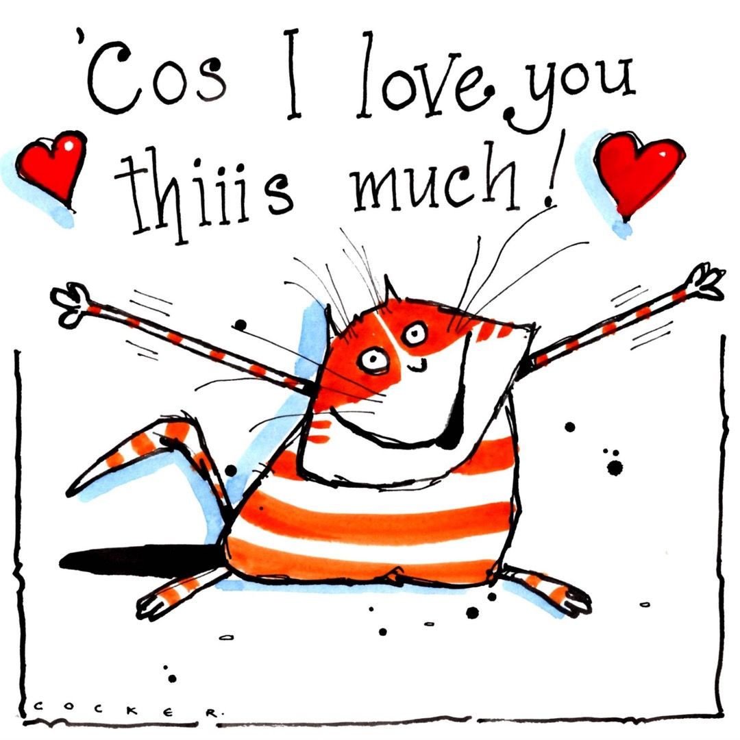 Illustrated card featuring a stripy cat and hearts that says "'cos I love you thiiis much!"