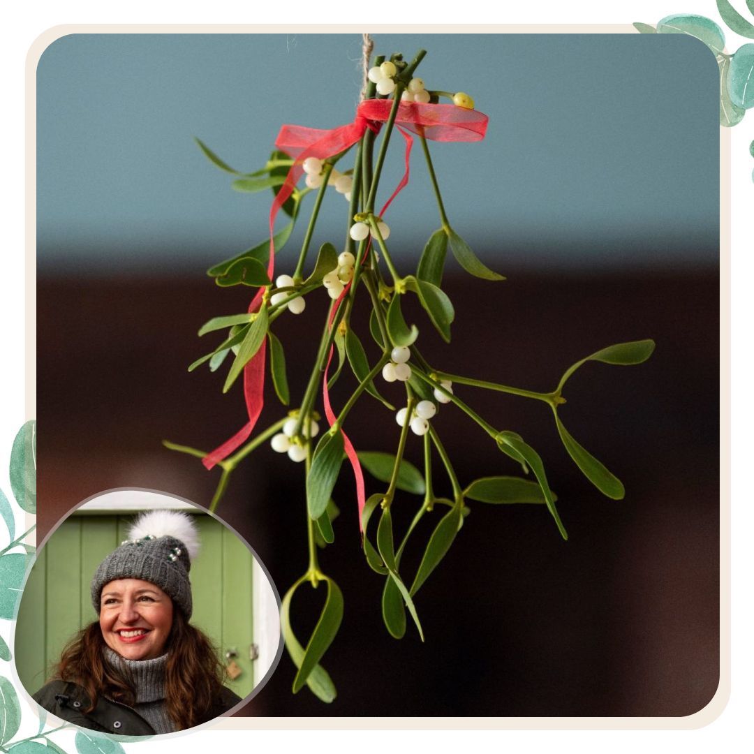 Sarah Starkey and a featured bunch of mistletoe wrapped with a red ribbon