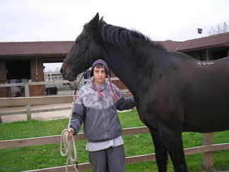 Ross and horse