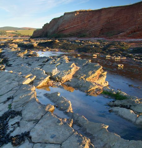 fossil beach watchet near Minehead Somerset