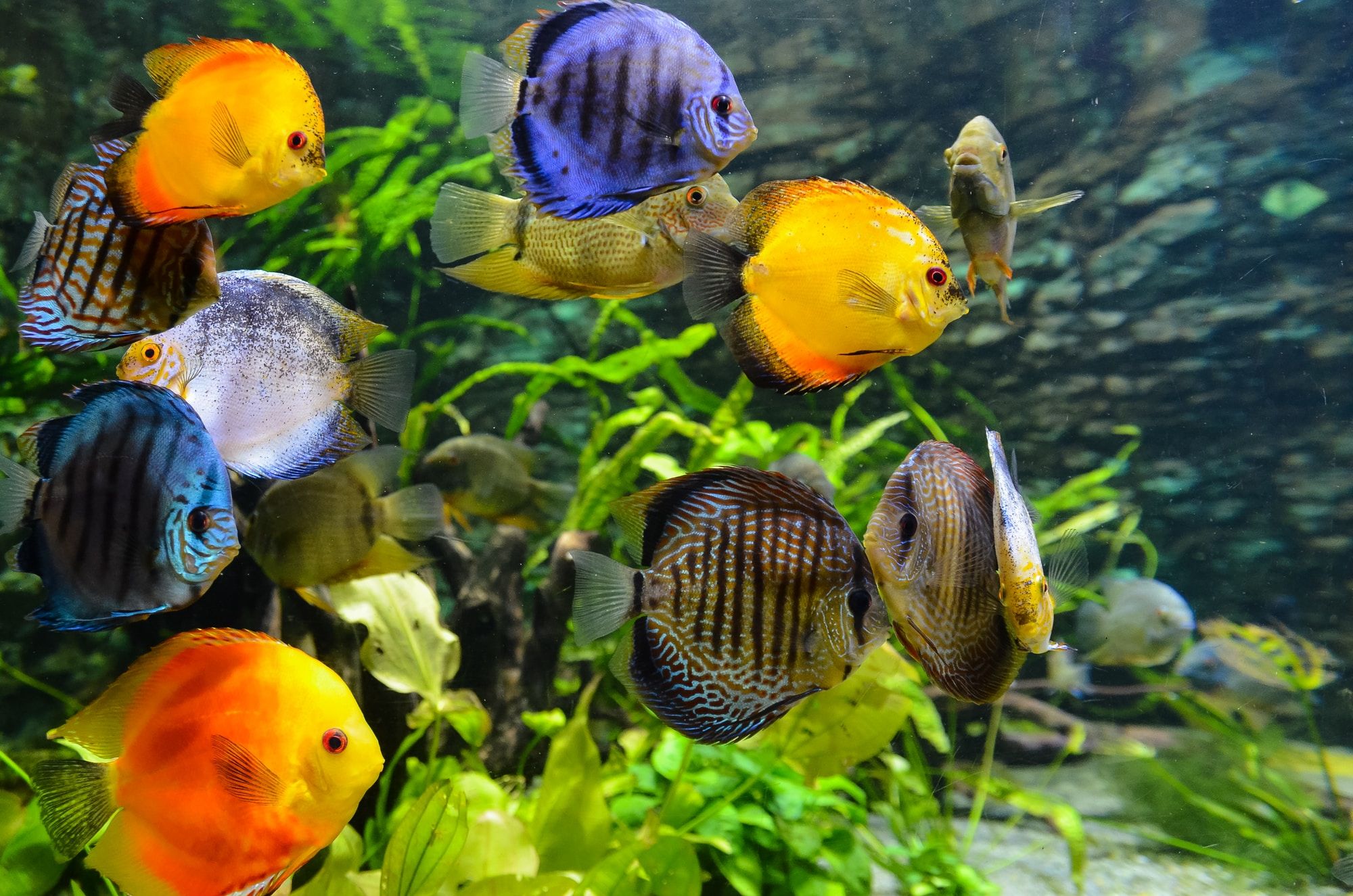 Skegness Aquarium