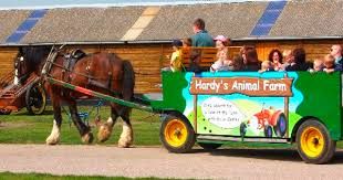 Hardy's Animal Farm Ingoldmells near Butlins