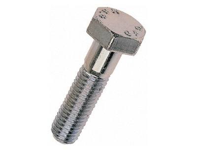 215169 - Bolt, 5/16
