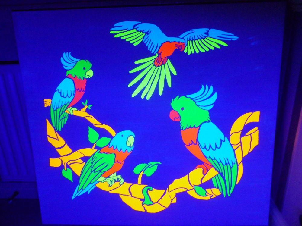 Parrots under u.v light