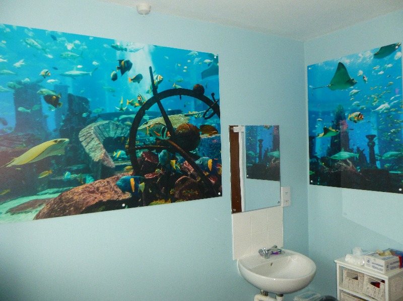 Aquatic panels in bathroom