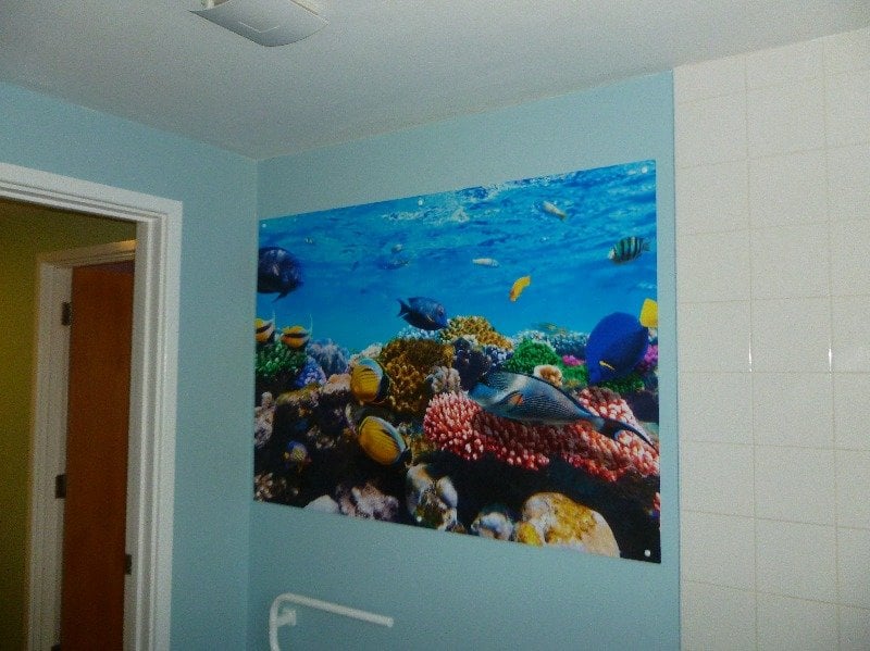 Aquatic panels in bathroom 1