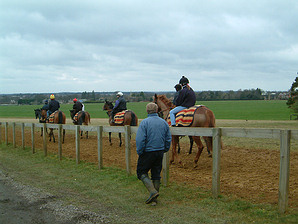 chris with horses on heath