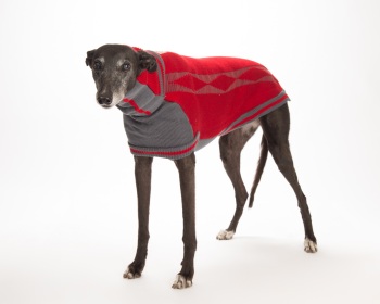 Diamond Sweater: Crimson Red/Grey for Greyhounds