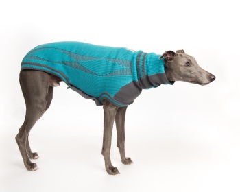 Diamond Sweater: Ferozi Blue/Grey for Greyhounds