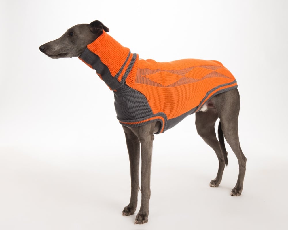 Diamond Sweater: Orange/Grey for Greyhounds