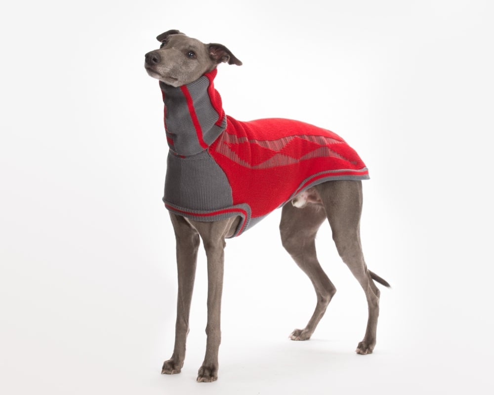 Diamond sweater: Crimson Red/Grey for Whippets