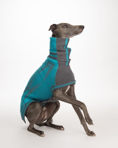 Diamond sweater: Ferozi Blue/Grey for Whippets