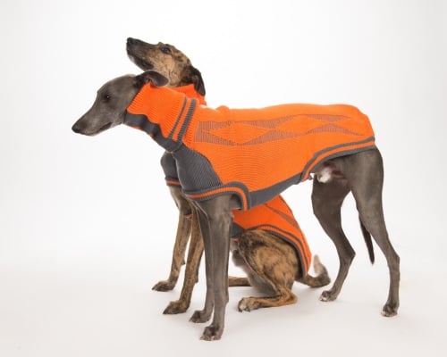 Diamond sweater: Orange/Grey for Whippets