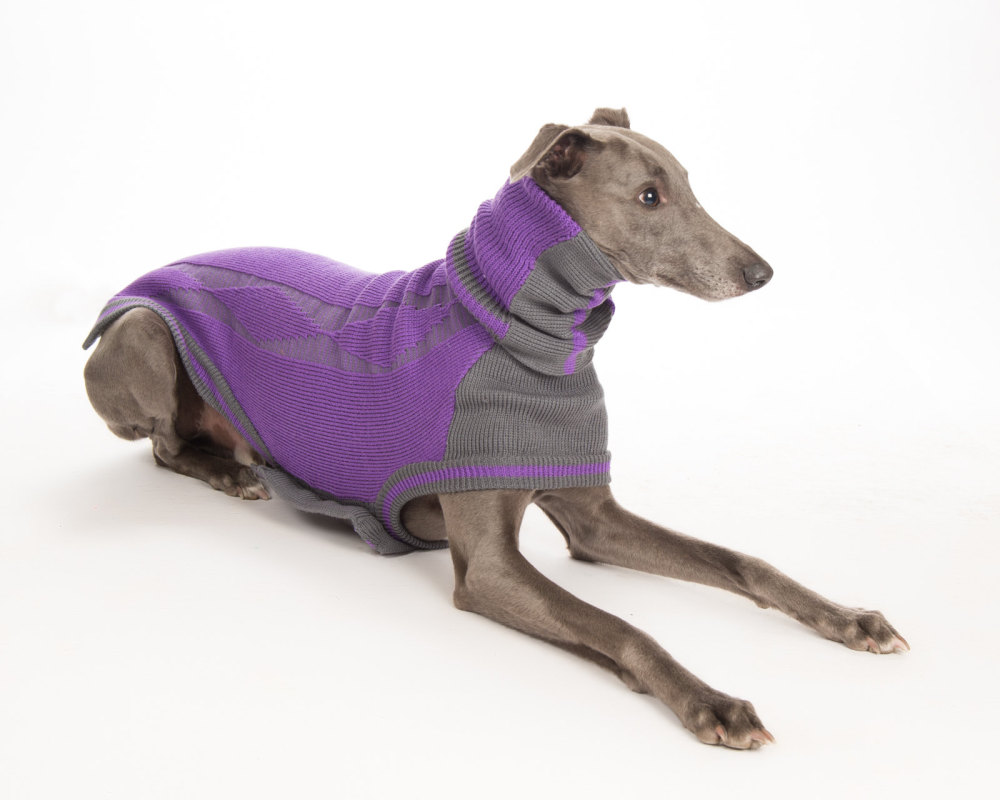 Diamond Sweater: Purple/Grey for Greyhounds