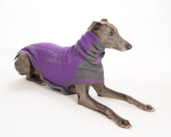 Diamond sweater: Purple/Grey for Whippets
