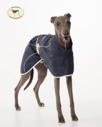 New Colour! Navy Blue Rain Mac for whippets