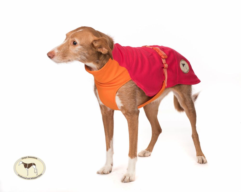 Sweat/Tee Shirt for Greyhounds, Hot Pink & Orange Small 26