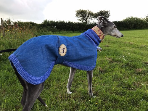 Denim & Knitted Sweaters for Greyhounds