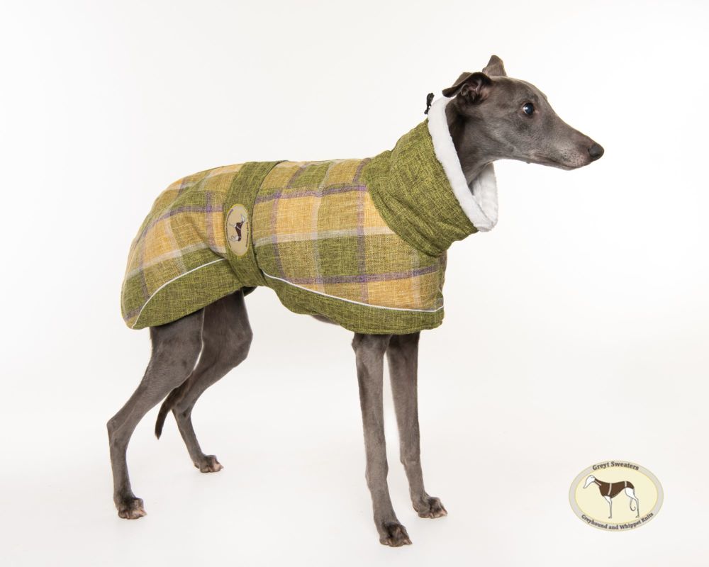 Willow Tweed Coat for Greyhounds 