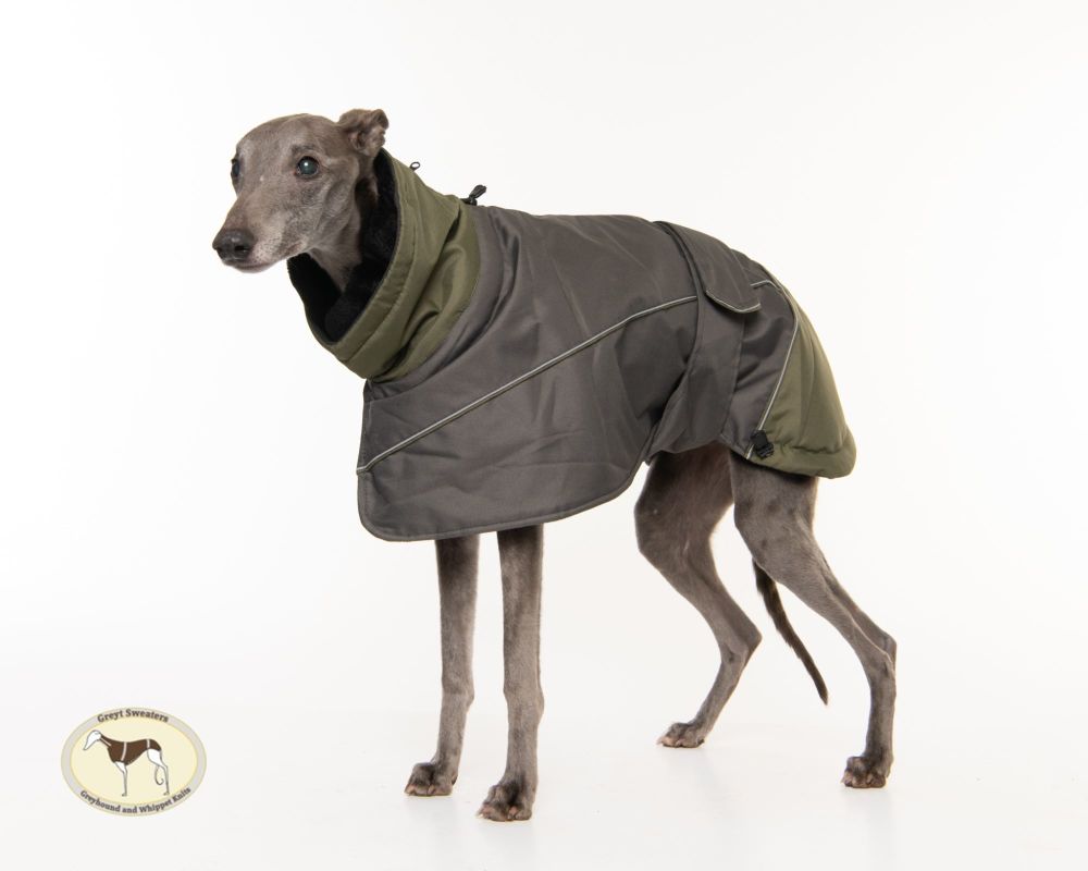 Waterproof Padded Luxury Jacket; Dark Grey/Olive Green for Whippets