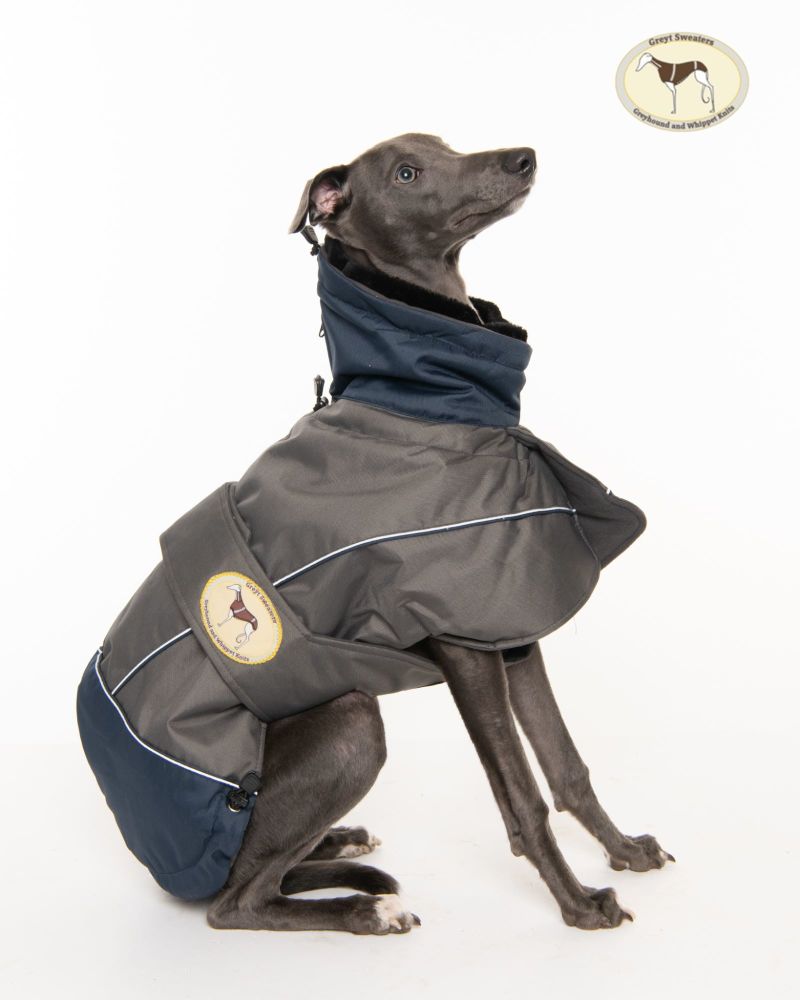 Waterproof Padded Luxury Jacket; Grey/Navy for Greyhounds