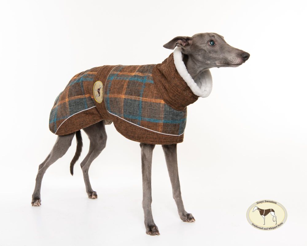 Maple Tweed Coat for Whippets