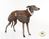 Maple Tweed Coat for Whippets