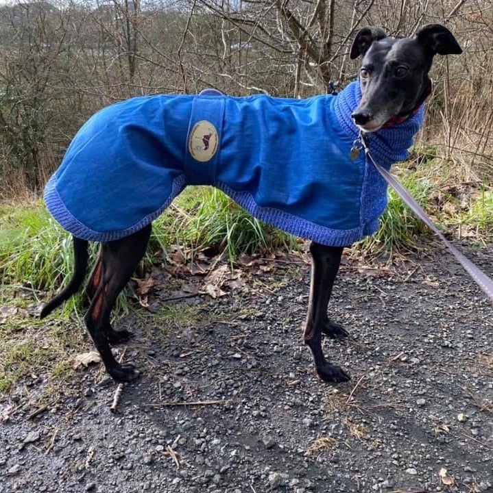 Knitted greyhound clearance coats