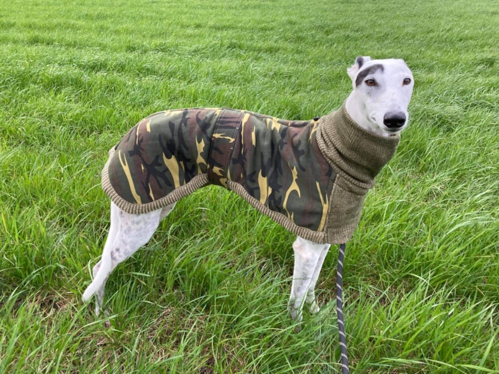 Camo-Knit Coat for Whippets