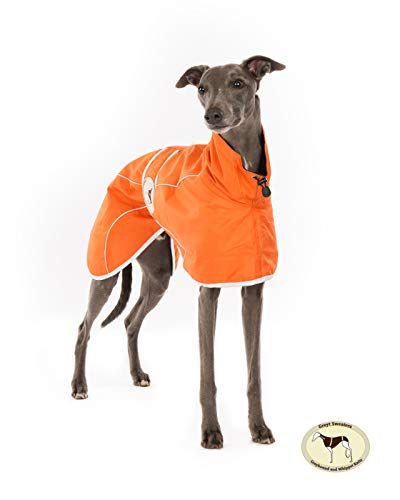 Orange Rain Mac for Italian Greyhounds
