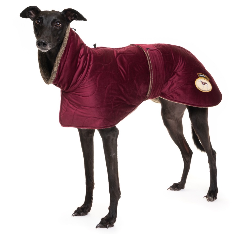 Ruby Velvet-Knit Jacket for Greyhounds