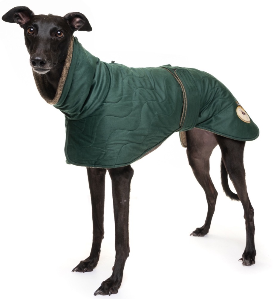 Emerald Velvet-Knit Jacket for Greyhounds