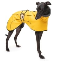 Sunny Yellow Jersey Fleece for Greyhounds 