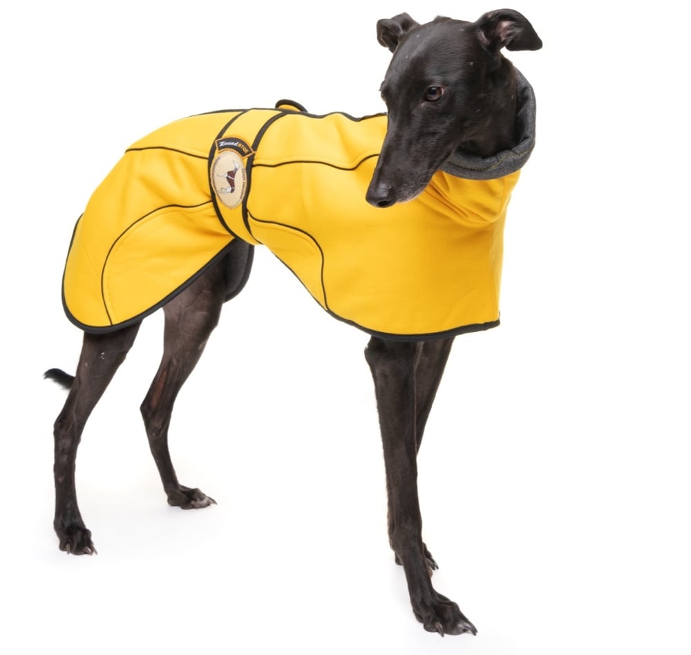Sunny Yellow Jersey Fleece for Whippets
