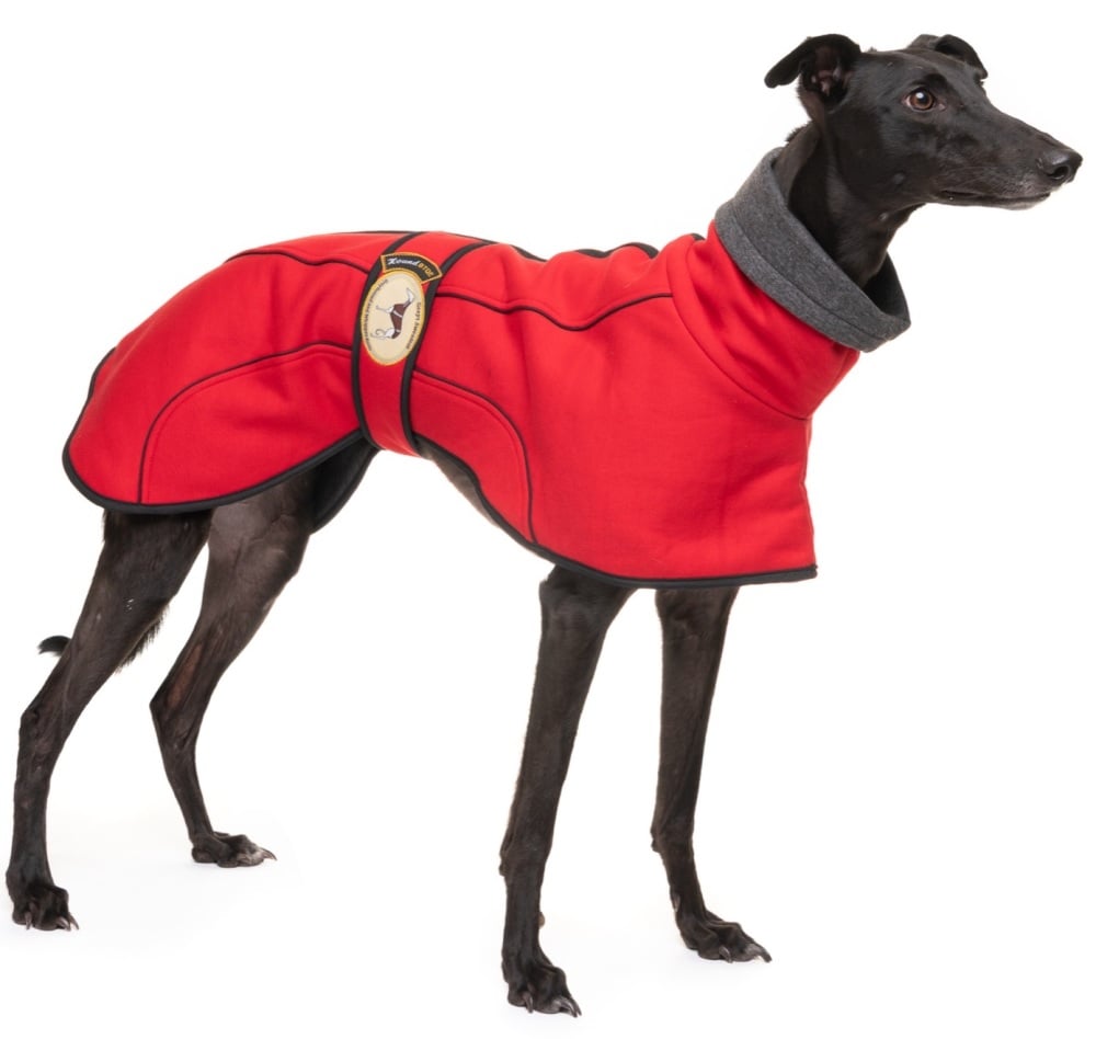 Scarlet Red Jersey Fleece for Whippets