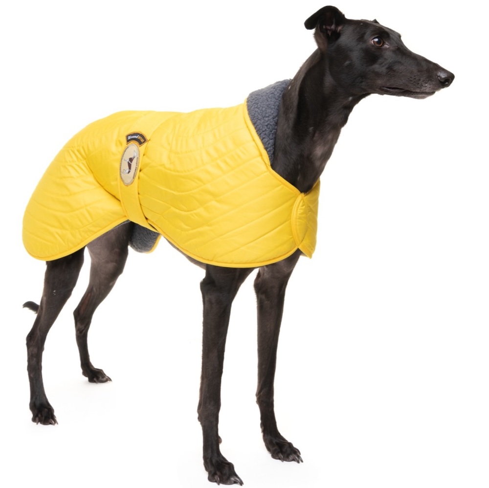 Sunny Yellow Quilted Jacket for Greyhounds