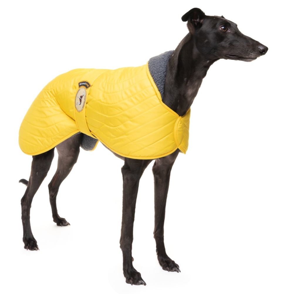 Sunny Yellow Quilted Jacket for Whippets