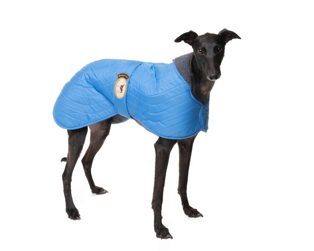 Sky Blue Quilted Jacket for Greyhounds 