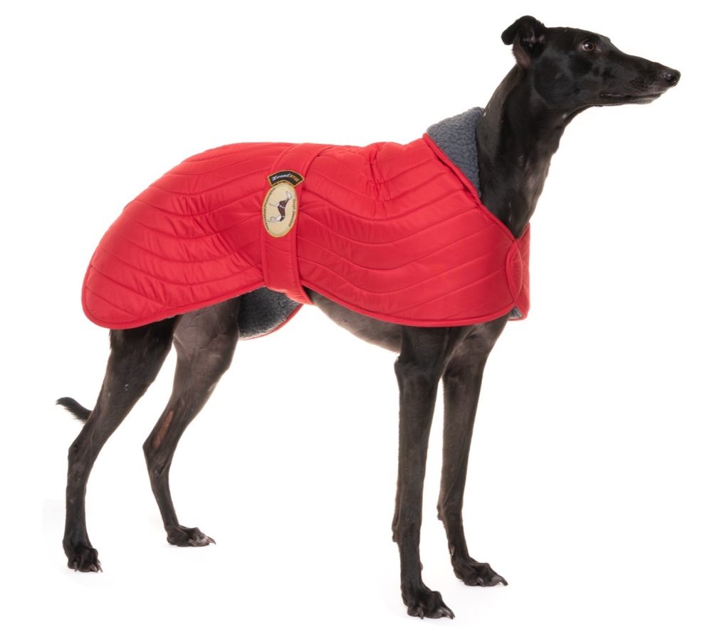 Scarlet Red Quilted Jacket for Whippets *MADE TO ORDER*
