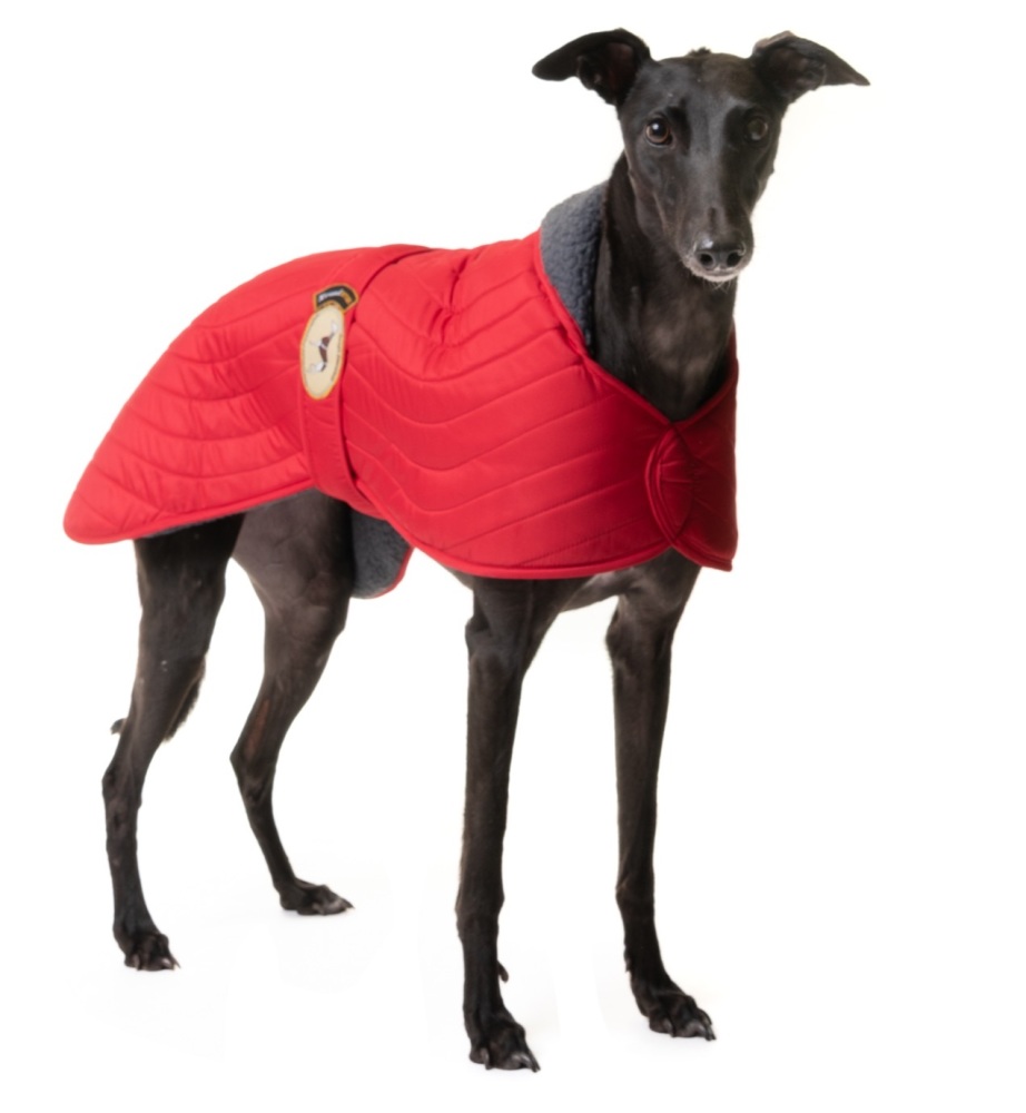 Scarlet Red Quilted Jacket for Greyhounds