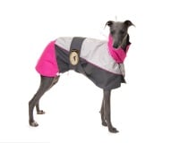 Raincoat for Greyhounds; Grey/Hot Pink