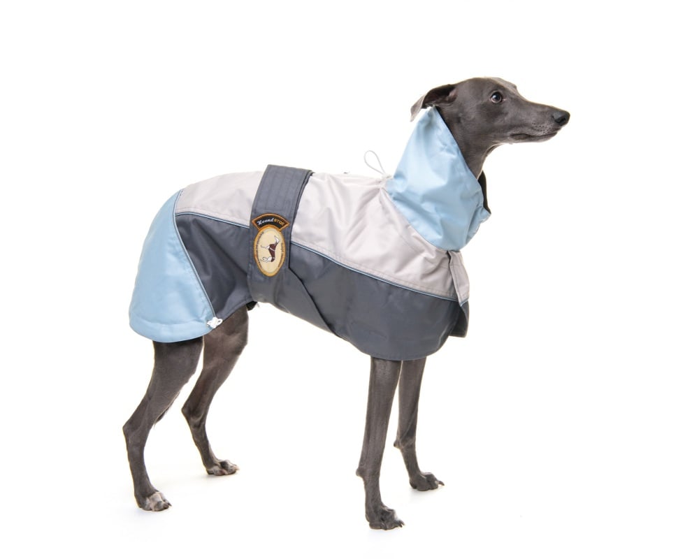 Raincoat for Greyhounds; Grey/Powder Blue