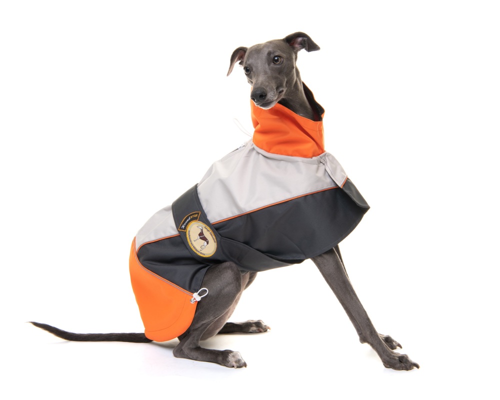Raincoat for Greyhounds; Grey/Orange