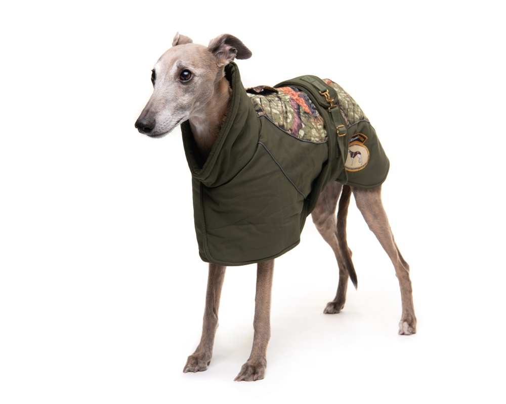 Sage Soft Shell Luxury Jacket for Greyhounds