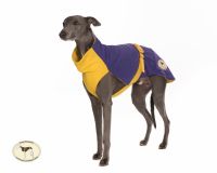 Sweat/Tee Shirt for Greyhounds, Bright Purple & Yellow.