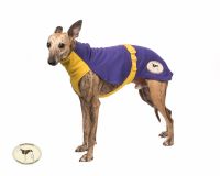 Sweat/Tee Shirt for Whippets, Bright Purple & Yellow.