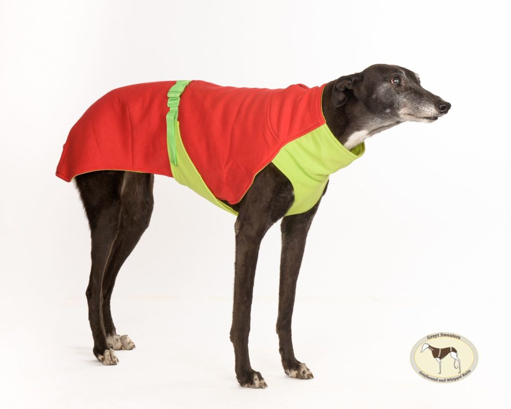 Sweat/Tee Shirt for Whippets, Red & Lime Green.