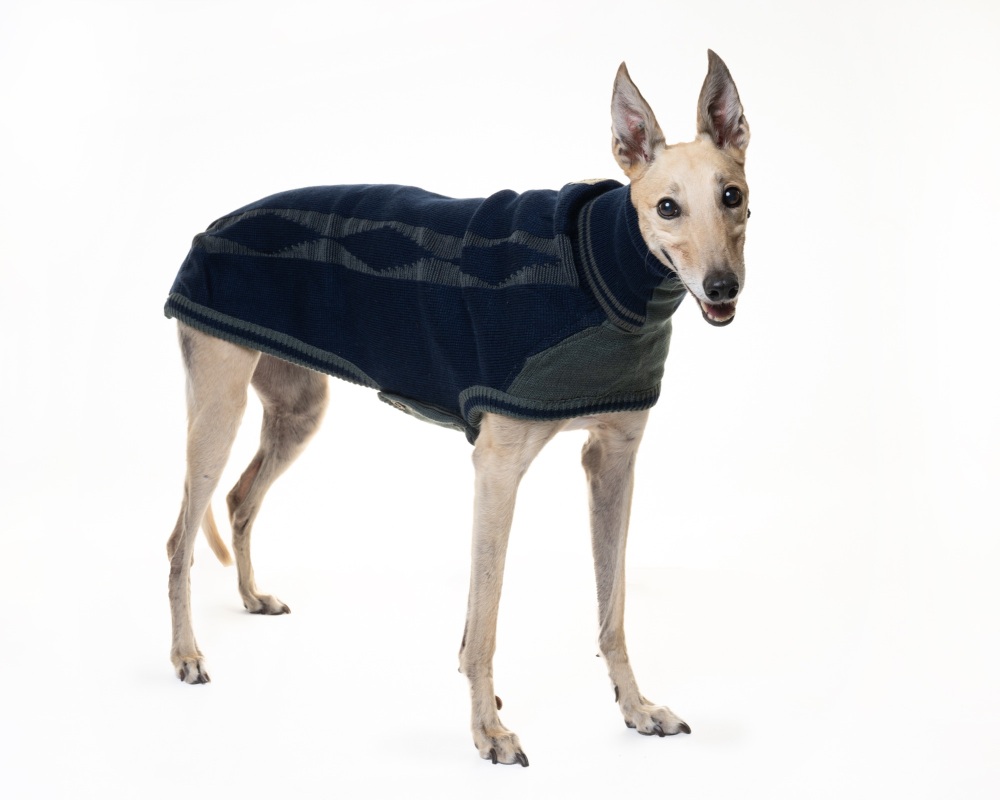 Diamond Sweater: Azure Blue/Grey for Greyhounds