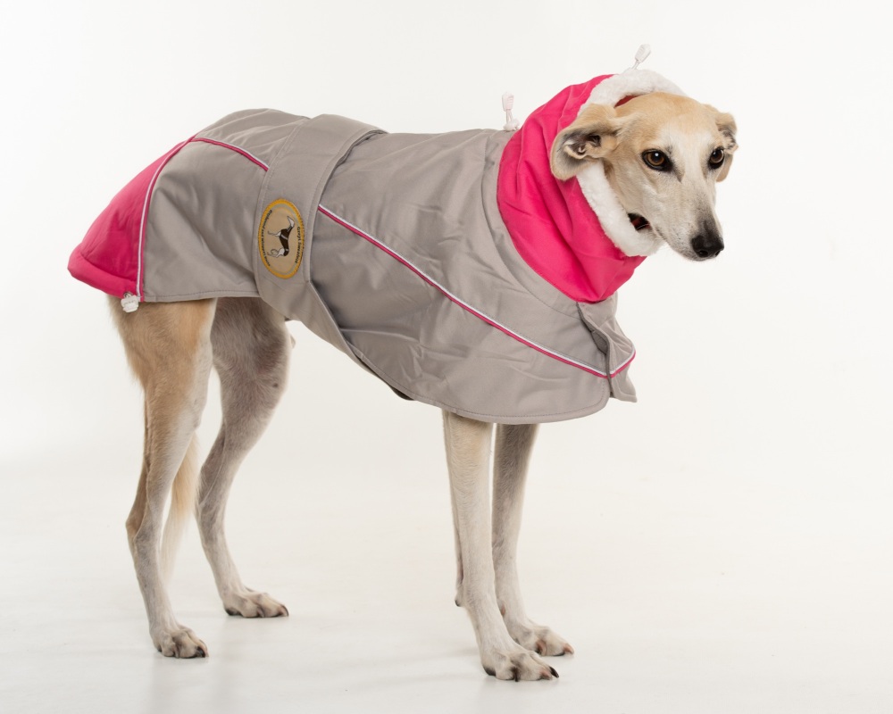 Waterproof Padded Luxury Jacket; Light Grey/Cerise Pink for Greyhounds