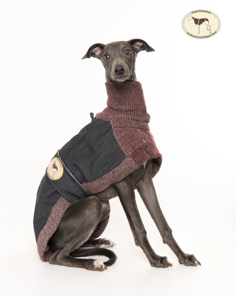 Indigo Denim/Knit Sweater for Greyhounds